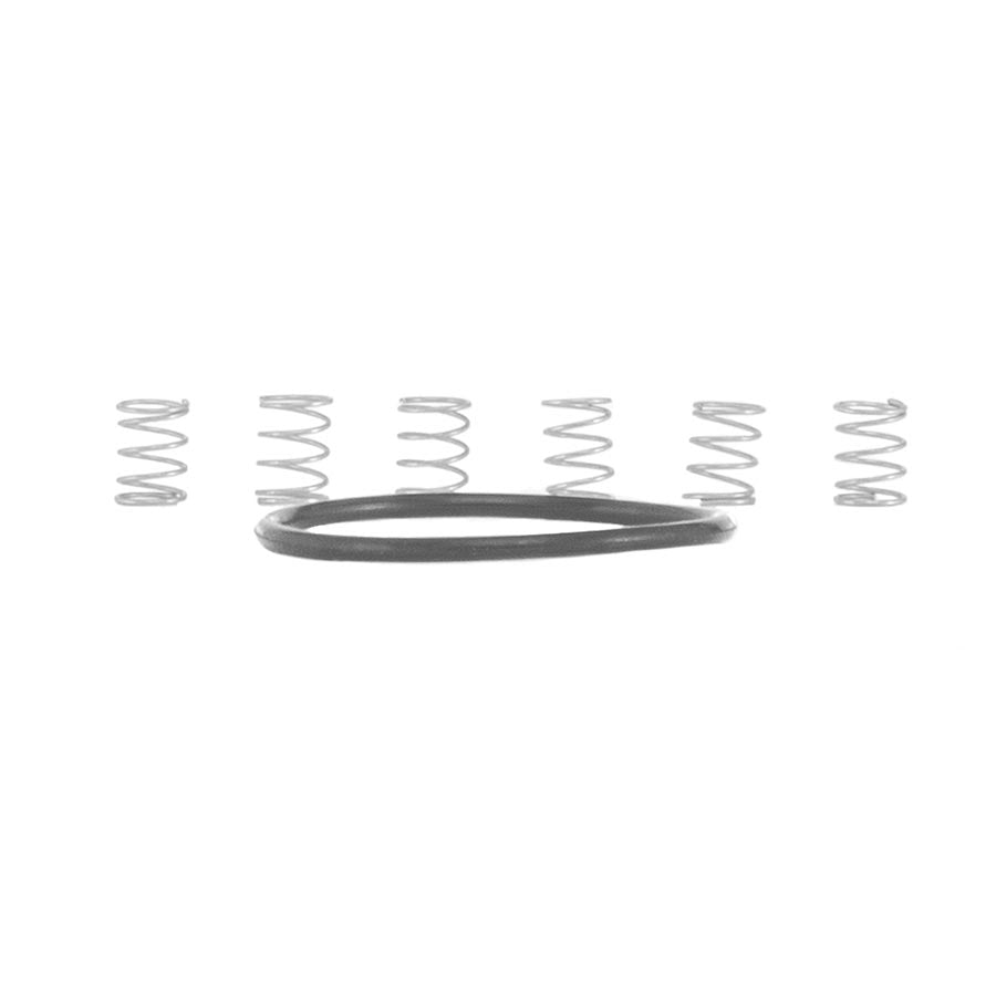 PAWL SPRING KIT FOR TORCH MTN FREEHUB