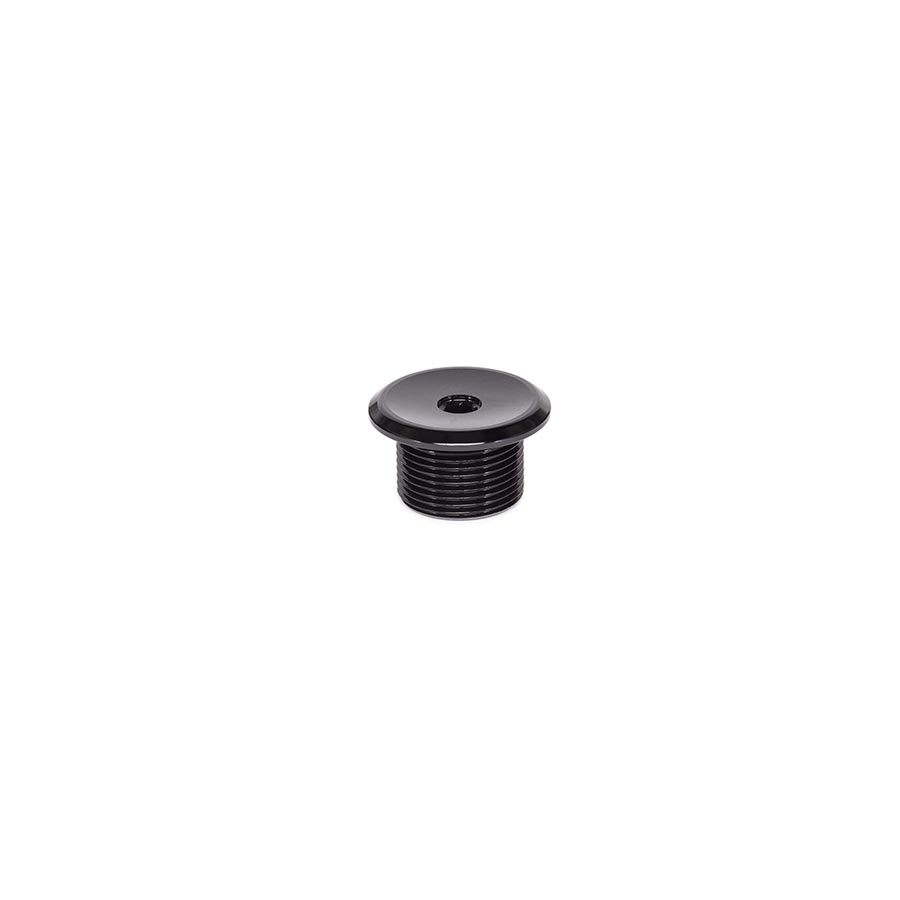 FORK TOP BOLT