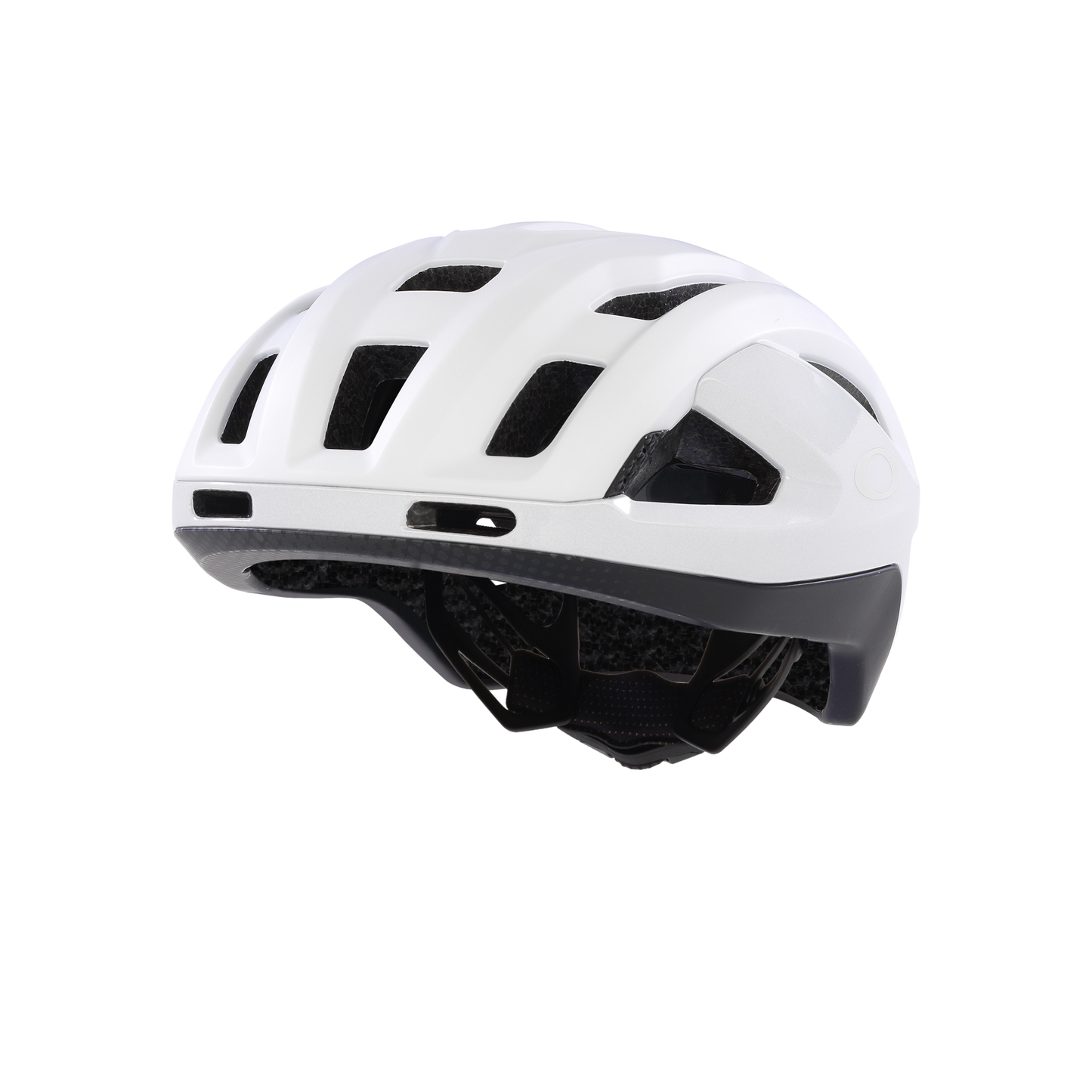 OAKLEY ARO3 ENDURANCE