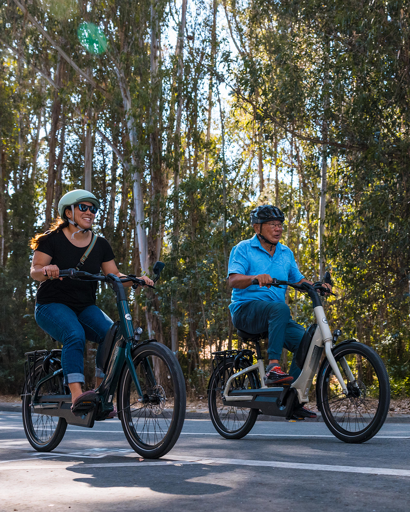 EASYFLOW - PINE GREEN